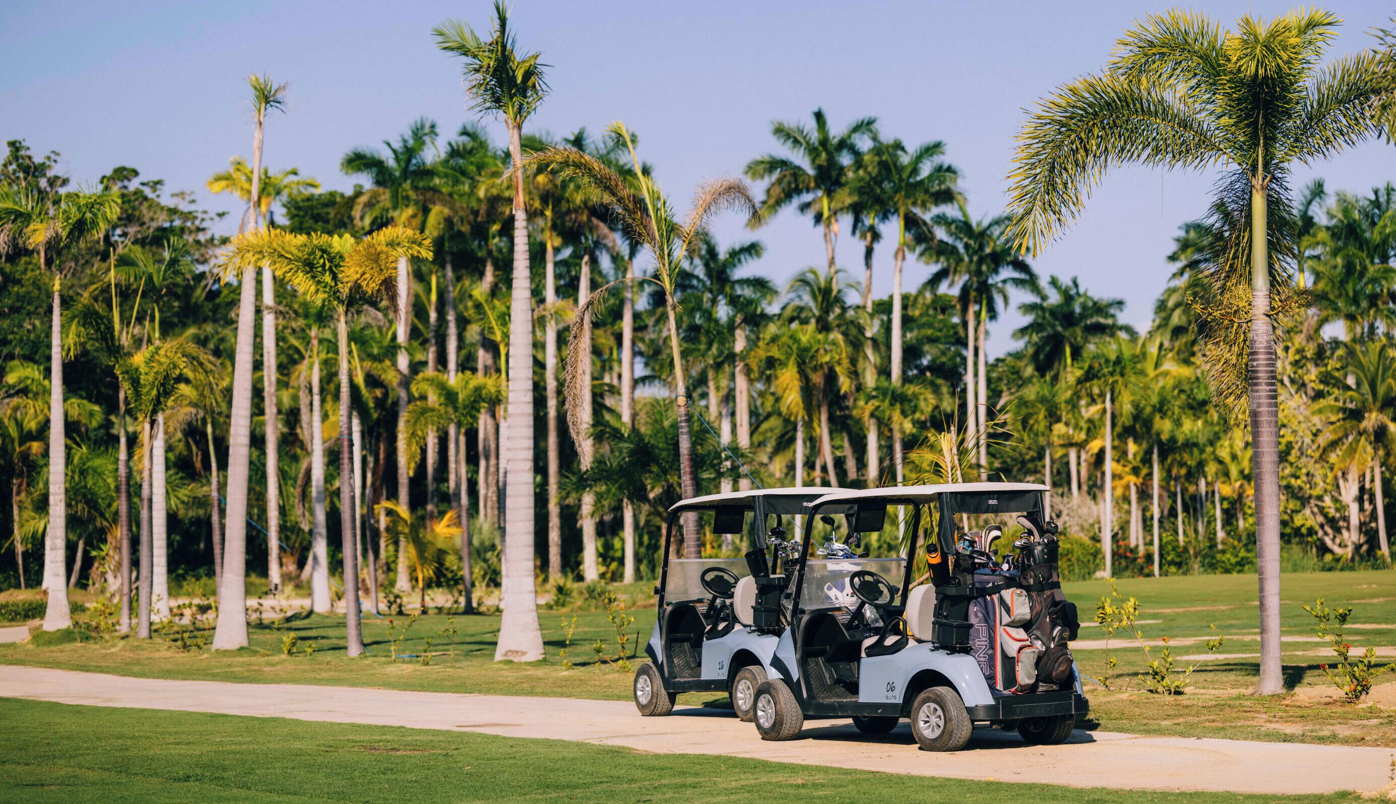 A golf cart on a path with palm trees in the background.