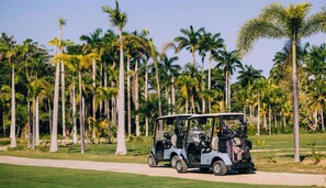 Un carrito de golf en un camino con palmeras al fondo.