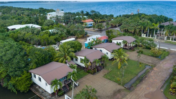 Vista aérea de una zona residencial costera con casas, palmeras y vista al océano.