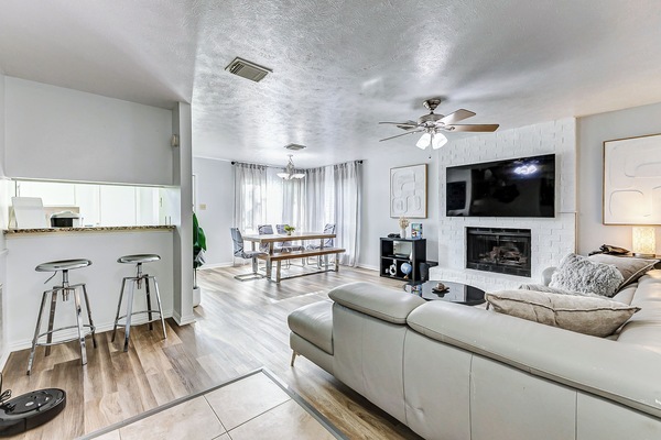 TV connectée, cheminée, lecteur de DVD, livres