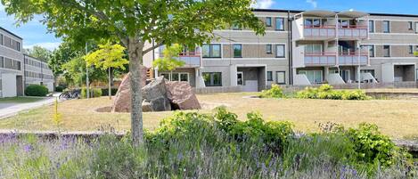 A modern building with multiple balconies and a landscaped garden with lavender.
