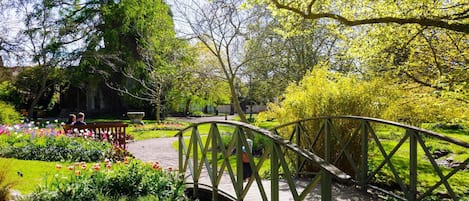 House | Property grounds