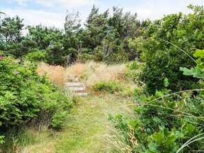 Vista desde la propiedad
