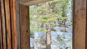 A wooden window frame with a view of a snowy forest.