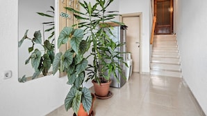 Interior - Beautiful Studio Apartment Near Sandy Beaches (Rab)