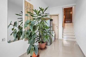 Apartment | Interior