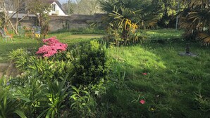 A garden with various plants and a small pond.