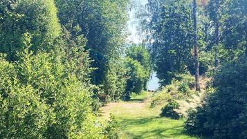 House | Property grounds