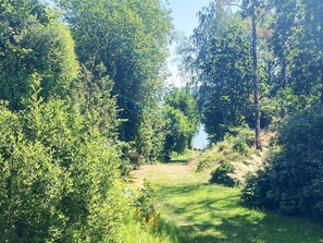House | Property grounds