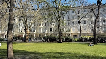 Área da propriedade