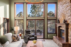 TV connectée, cheminée, livres, écrans d'ordinateur