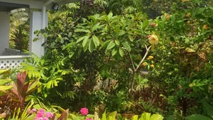A lush garden with various plants and flowers, a white building with a porch, and a clear blue sky.