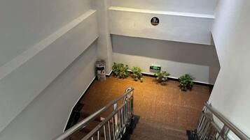 A staircase with metal railings, a carpeted floor, and potted plants on the landing.