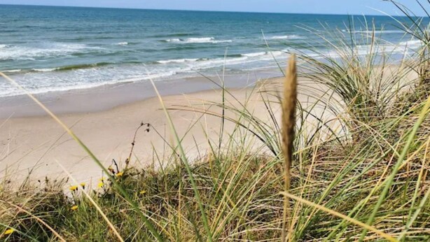 A beach with waves, sand, and grass. - 5 Star Holiday Home in Lokken (Lokken)