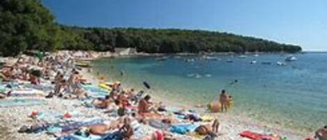 Apartment | View from property