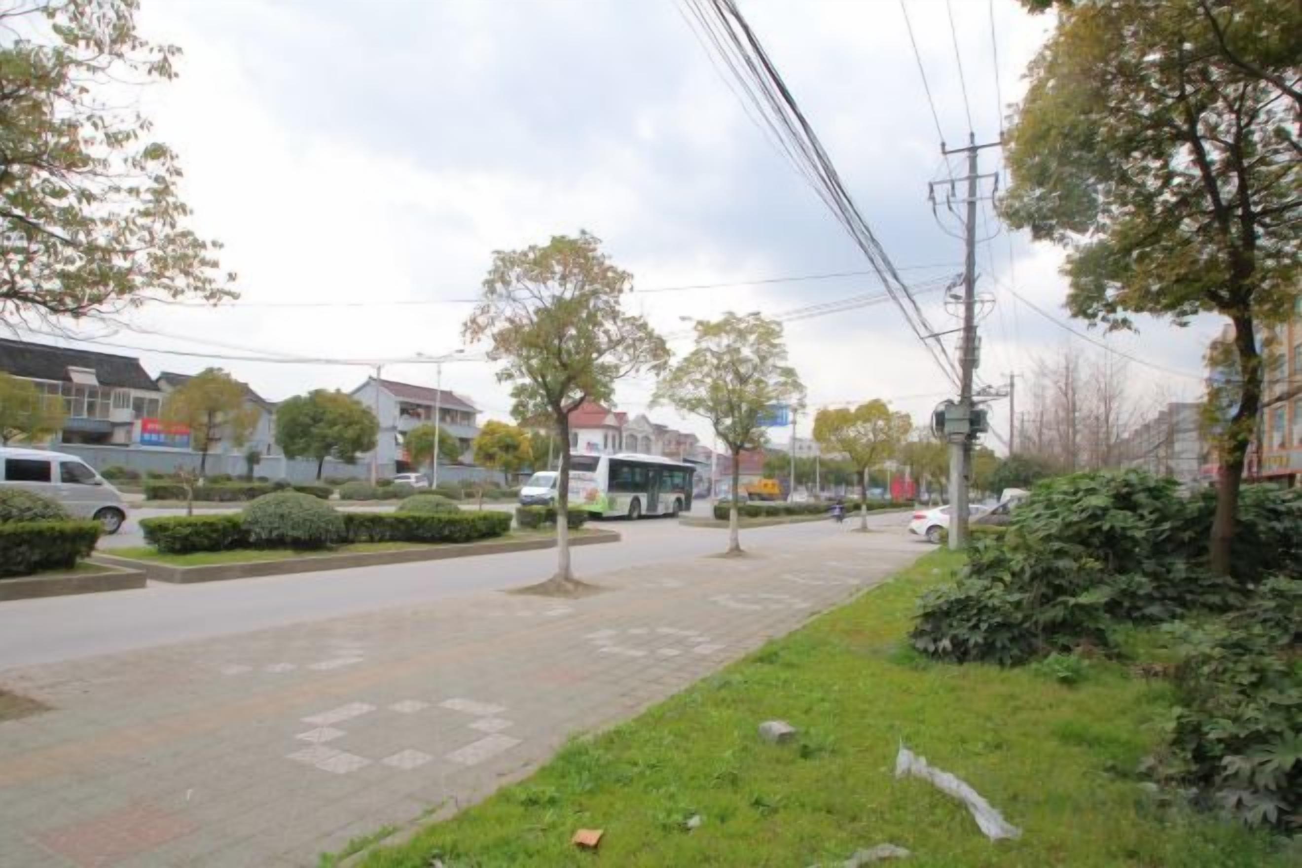 Uma rua com ônibus, árvores e edifícios.