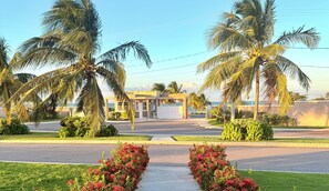 Property grounds - Stylish 3-Bedroom Retreat in Lucea – Fully Solar Powered, WiFi, AC, Pools, Beach (Lucea)
