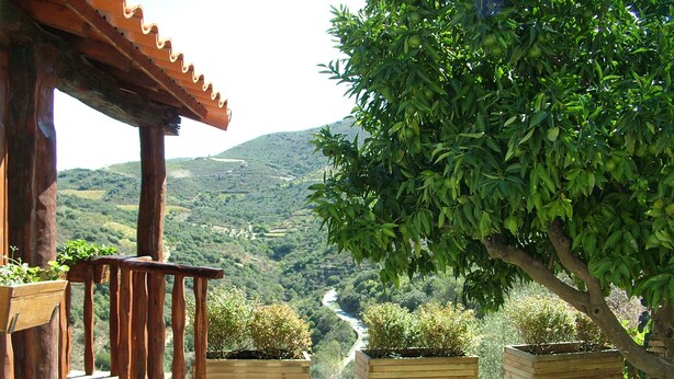 A wooden pergola overlooking a valley with stone steps leading up to wooden planters with shrubs. - Bairro do Casal turismo rural (Vila Nova de Foz Côa)