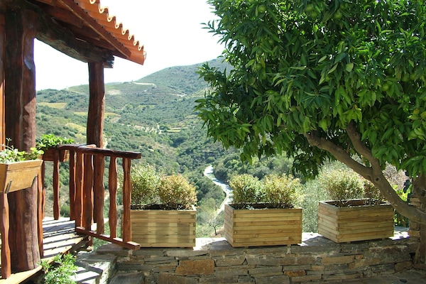 Standard House, Mountain View | Terrace/patio
