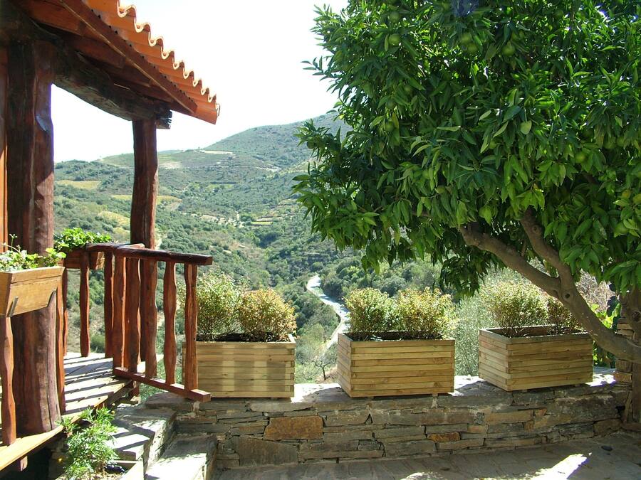 Standard House, Mountain View | Terrace/patio