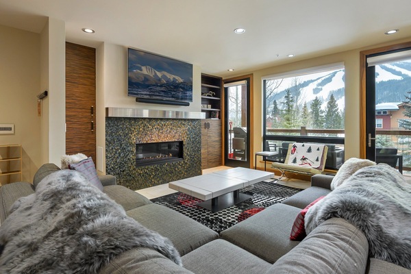 Smart TV, fireplace, video library