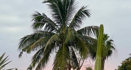 Chic room in plant filled boutique hotel near beach and plaza in Lo de Marcos