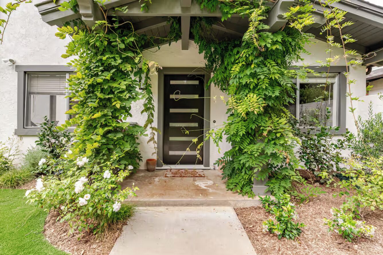 A house with a front door surrounded by lush green vines.