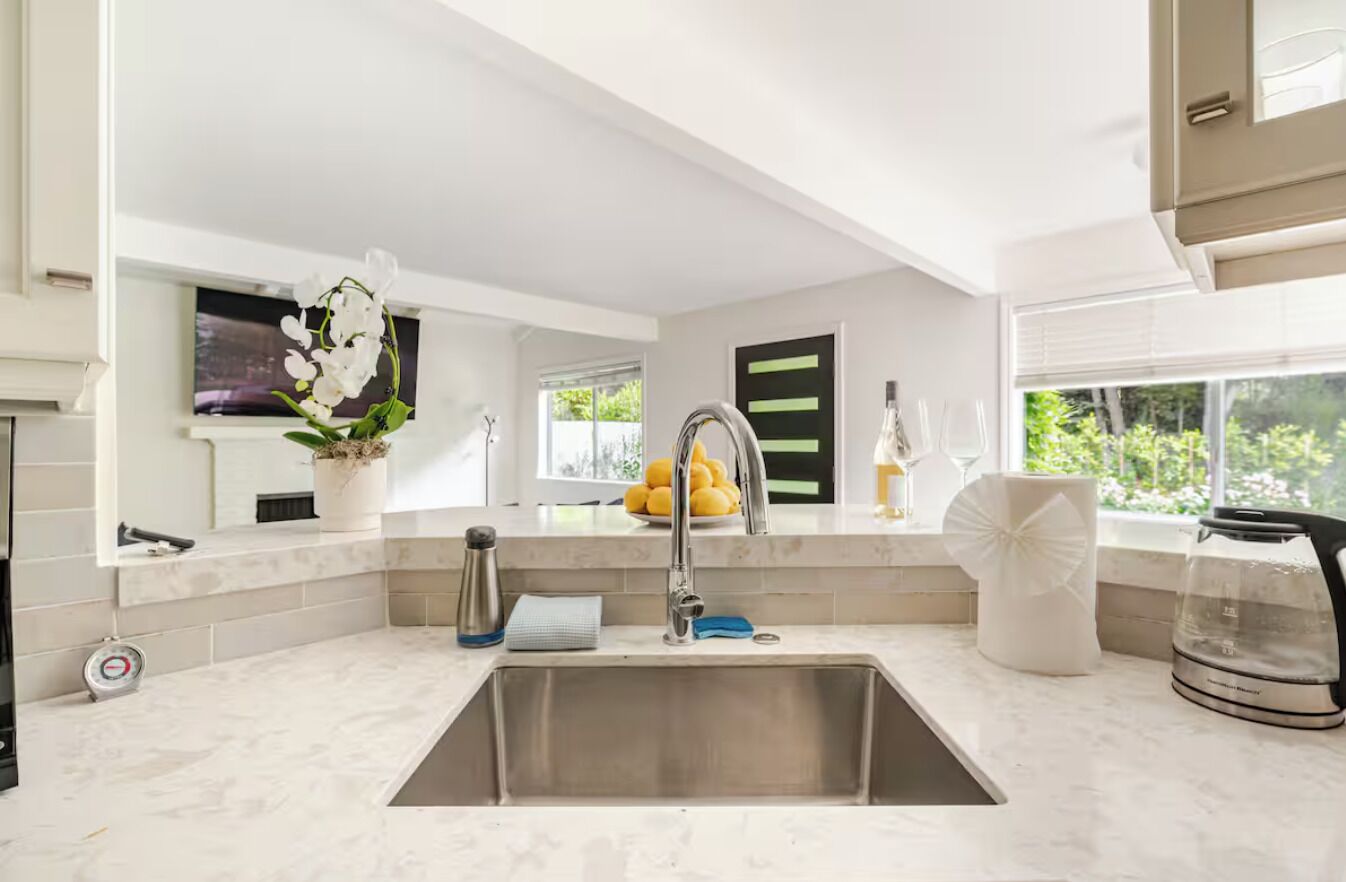 A modern kitchen with a stainless steel sink, a potted orchid, and a window with a view of greenery.