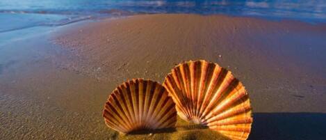 Apartment | Blick von der Unterkunft