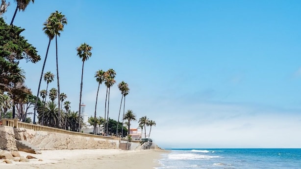 A beach with palm trees and a clear sky.