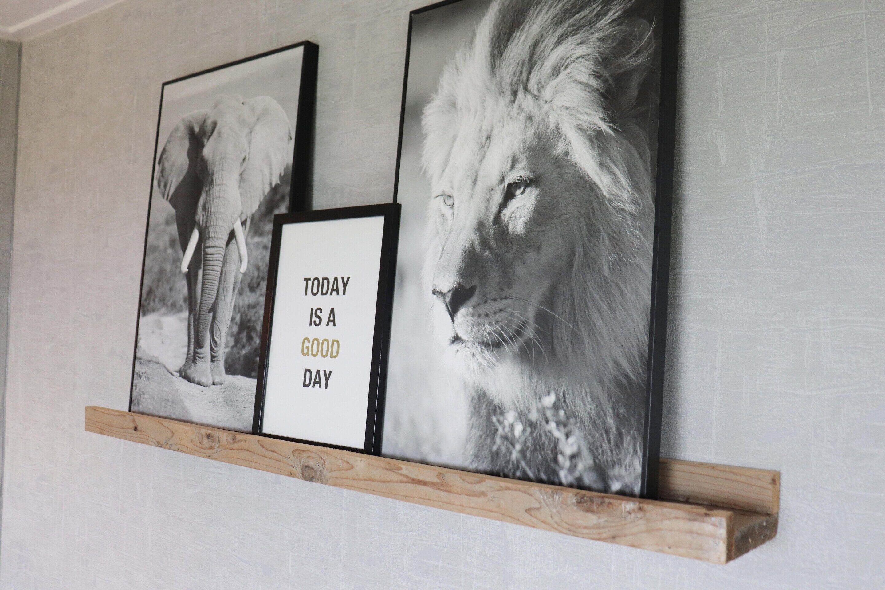 Una pared con tres cuadros: un elefante, un león y una cita motivacional.