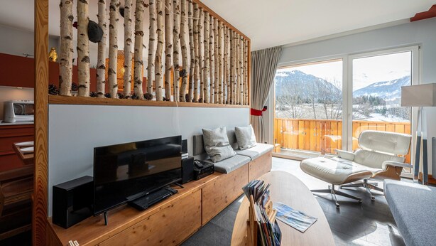 TV, peis, DVD-spiller og bordtennis