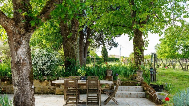 A patio with a round table and chairs, surrounded by trees and plants.