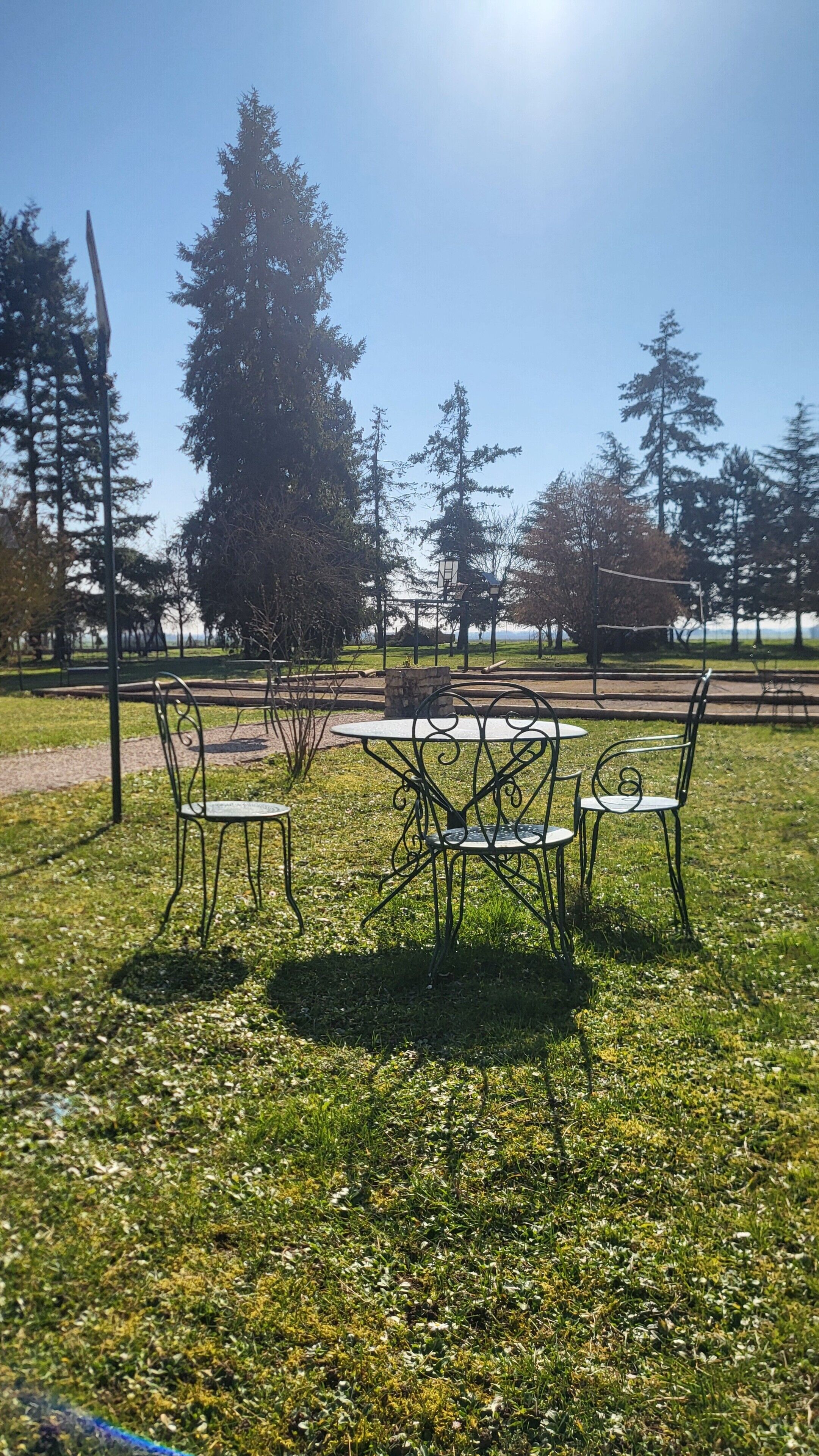 Een park met metalen stoelen en een tafel, omringd door gras en bomen.