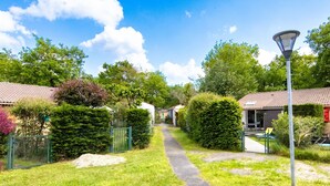 A pathway leading to a row of houses with a lamp post and greenery.