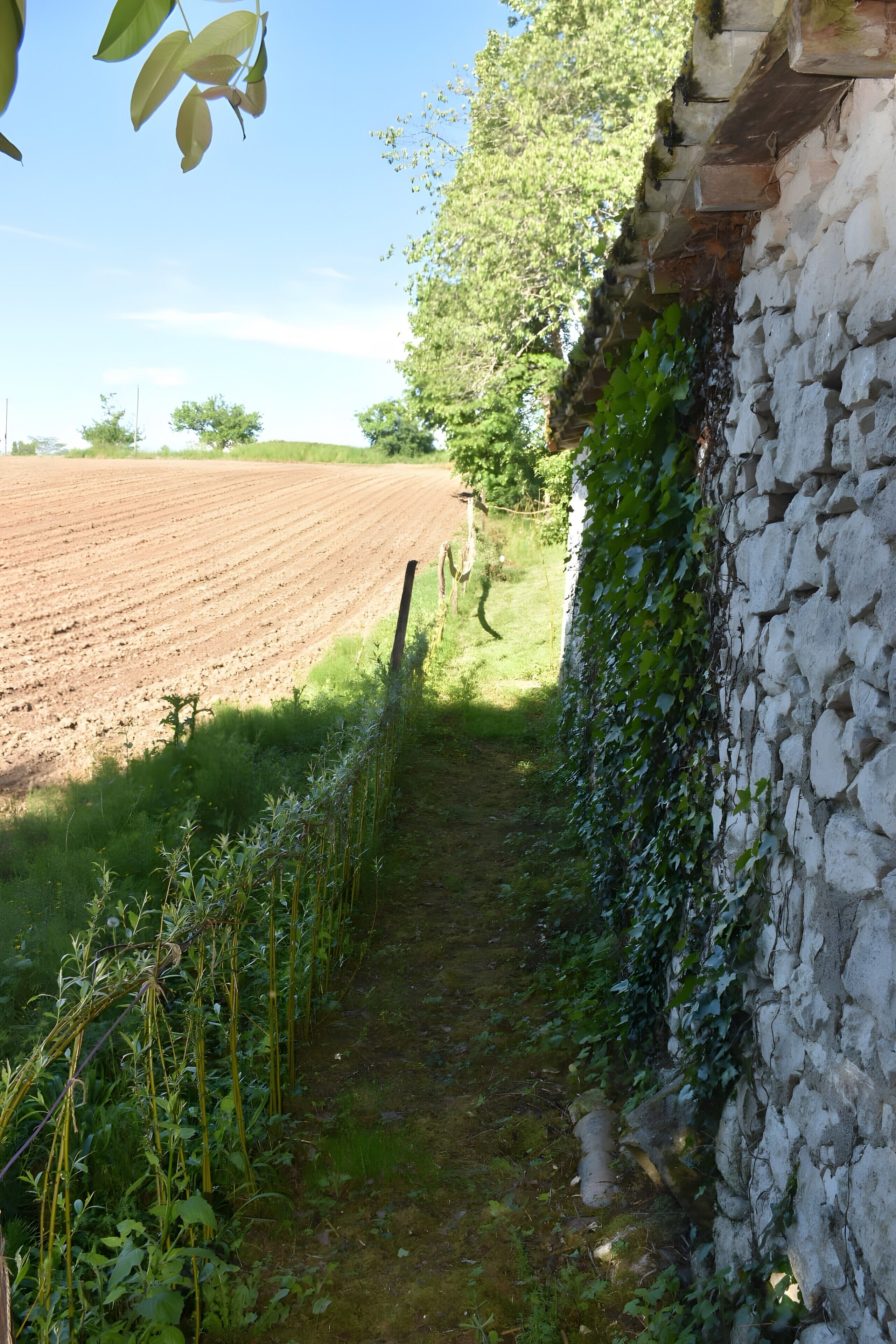 Een stenen muur met begroeiing, een onverharde pad en een omgeploegd veld op de achtergrond.