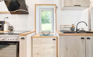 Frigorífico, microondas, horno y placa de cocina