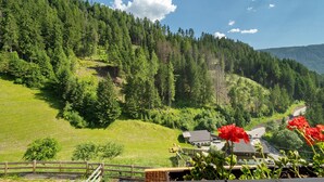 Paesaggio rurale con una casa, una strada e un pendio boscoso.