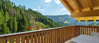 Apartment 'Lü Da Plazores Falc' with Mountain View, Shared Garden and Wi-Fi