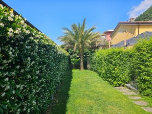 A well-maintained garden with a palm tree, neatly trimmed hedges, and a clear pathway.