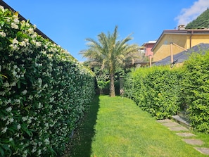 A well-maintained garden with a palm tree, neatly trimmed hedges, and a clear pathway.