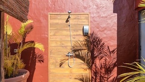 Una puerta de madera con un cabezal de ducha, una planta en maceta y una pared roja.