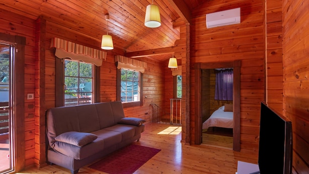 Una cabaña con interior de madera, un sofá, una cama y un televisor.