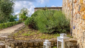 A rustic stone wall, a pathway, and a potted plant with a lantern. - Cottage 'Nel Verde Con Jacuzzi' with Shared Pool and Shared Garden (Colle di Val d'Elsa)