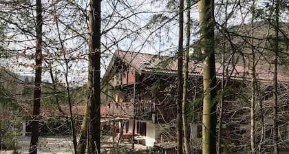 Bayern Schliersee Ferienwohnungen Forsthaus Krämer Wald Berg und See Urlaub