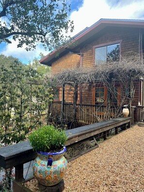 Property grounds - Woodland Sanctuary Walking Distance to towns of San Anselmo and San Rafael (San Rafael)