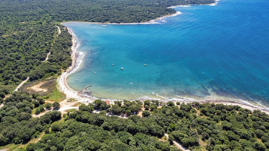 Apartment, 100m From the Beach