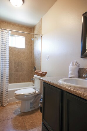 Hair dryer, towels, shampoo, toilet paper