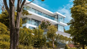 A modern two-story building with large glass windows, surrounded by lush greenery and a variety of plants.