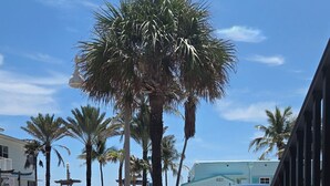 A street with palm trees, parked cars, and a building with a white fence.